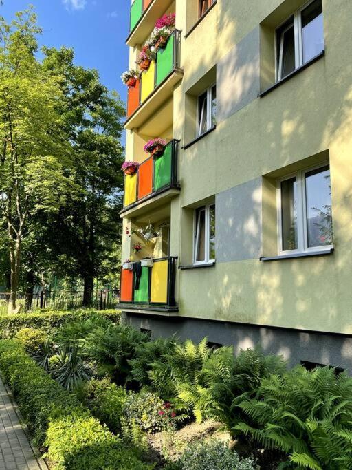 Sunny Apartment In Silesia Czeladź Dış mekan fotoğraf